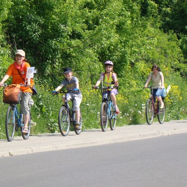 real_size_DSC02509 (800x600) Real size DSC02509 (800x600)