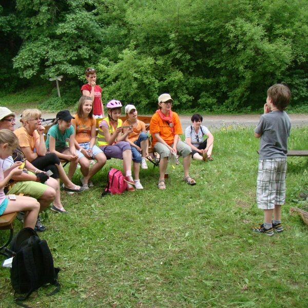 real_size_DSC02582 (800x600) Real size DSC02582 (800x600)