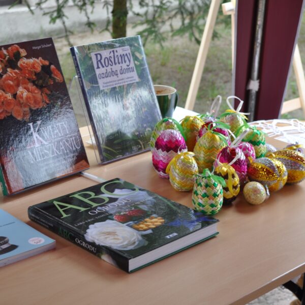 real_size_DSC_0115 Real size DSC 0115