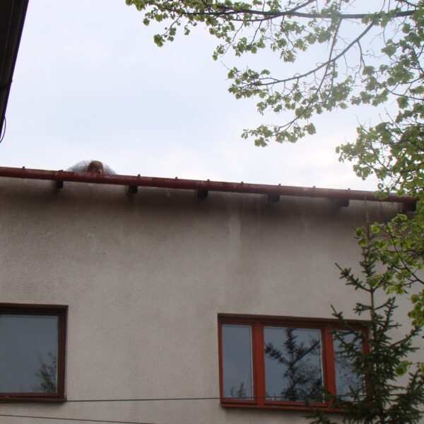 Real size 5 05 2015 r (3)