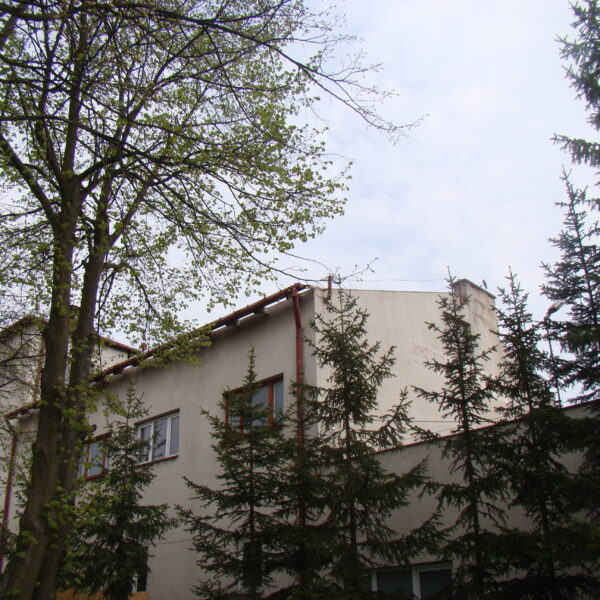 Real size 5 05 2015 r (4)