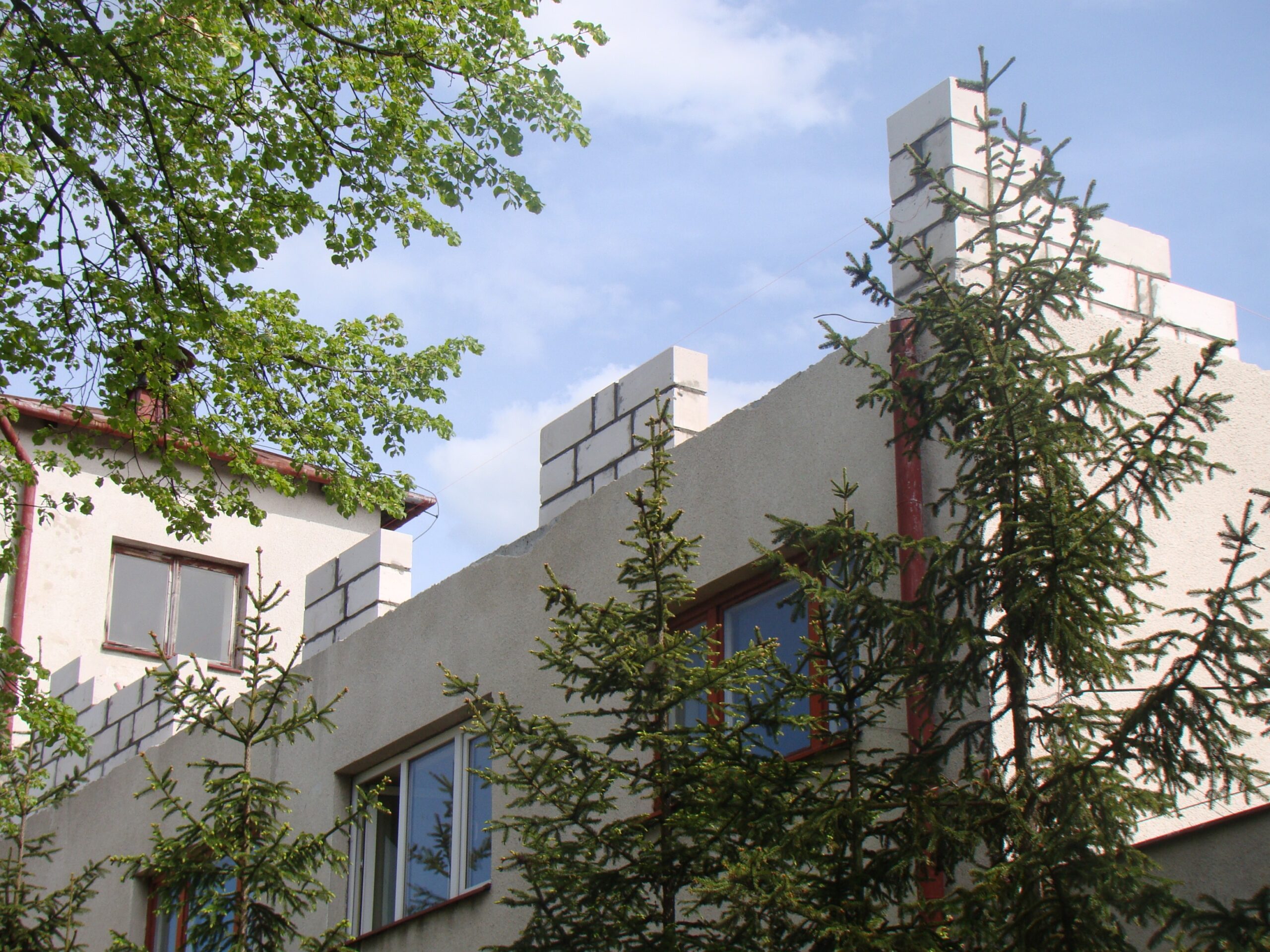 Real size DSC04971 scaled