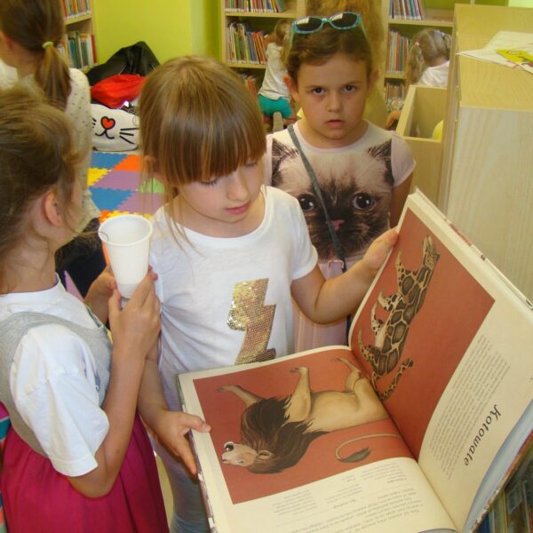 Real size Noc Bibliotek 2016 r  (1)