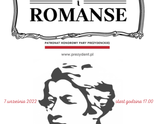 Format A3 (53)