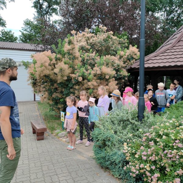 449690666 875686307920279 6917831515529451711 n