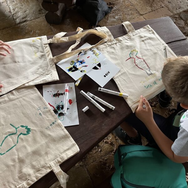 449711226 875684511253792 7237322729684811299 n