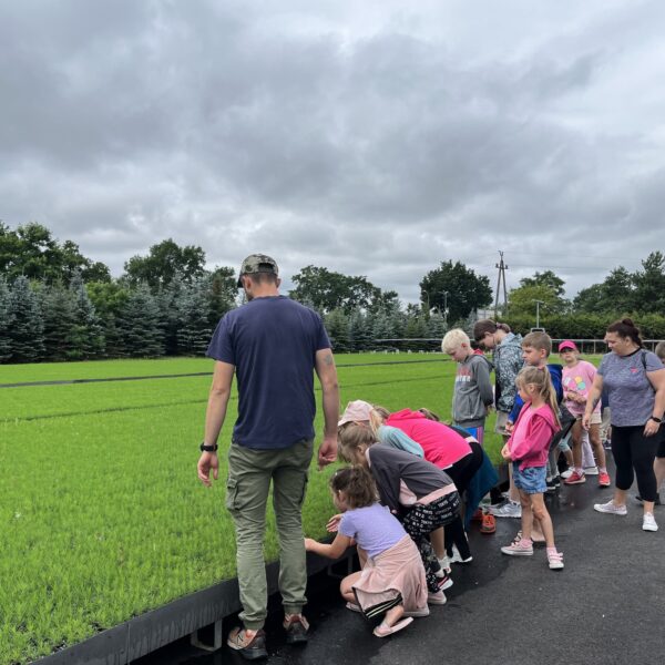 449729780 875684981253745 1577534601055808576 n