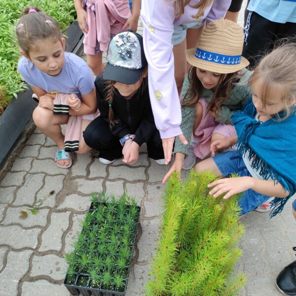 449772667 875686604586916 4624489722656384132 n