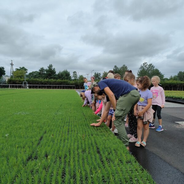 449773211 875686074586969 1462592290705178442 n