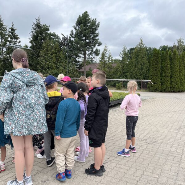 449774942 875685607920349 8607468485798070584 n