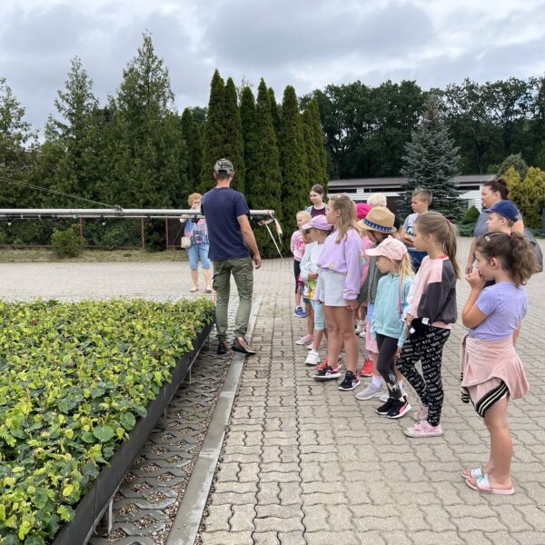 449778316 875685734587003 1266374116126149807 n