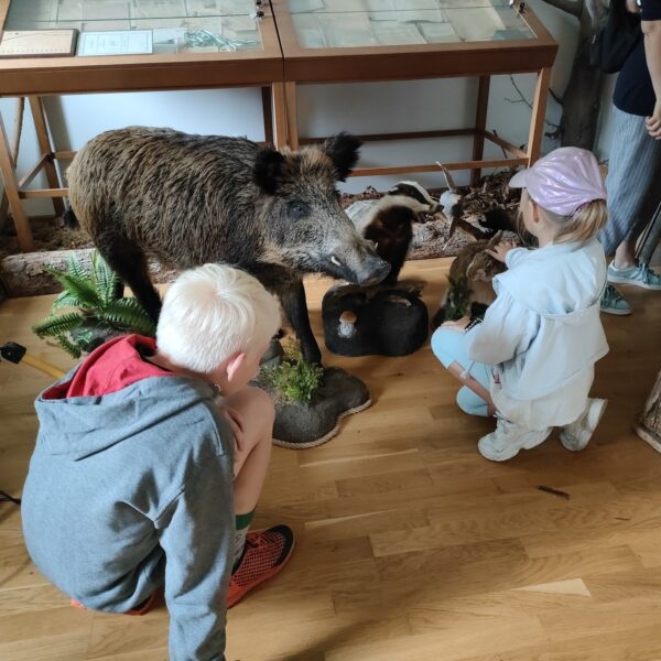 449780887 875686684586908 1965466971895658627 n