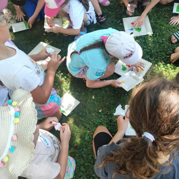 449840855 880273770794866 3612438642828540982 n