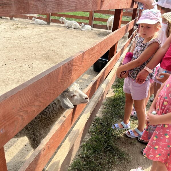 450265986 881451460677097 2816197714018311396 n