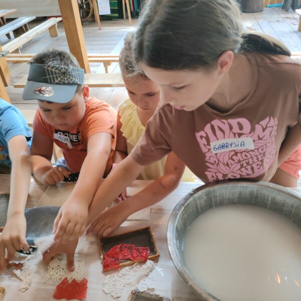 450307624 879742307514679 8678913437968948093 n