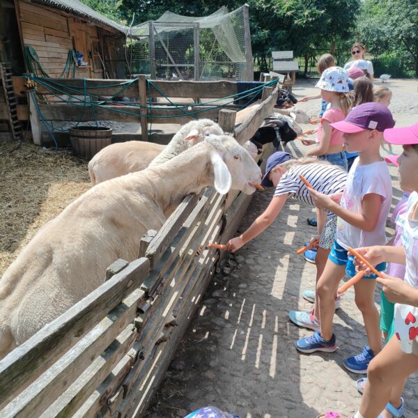 450351320 879743100847933 781869037689163893 n