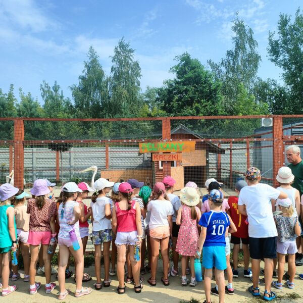 450553445 881451524010424 8712317226679567295 n