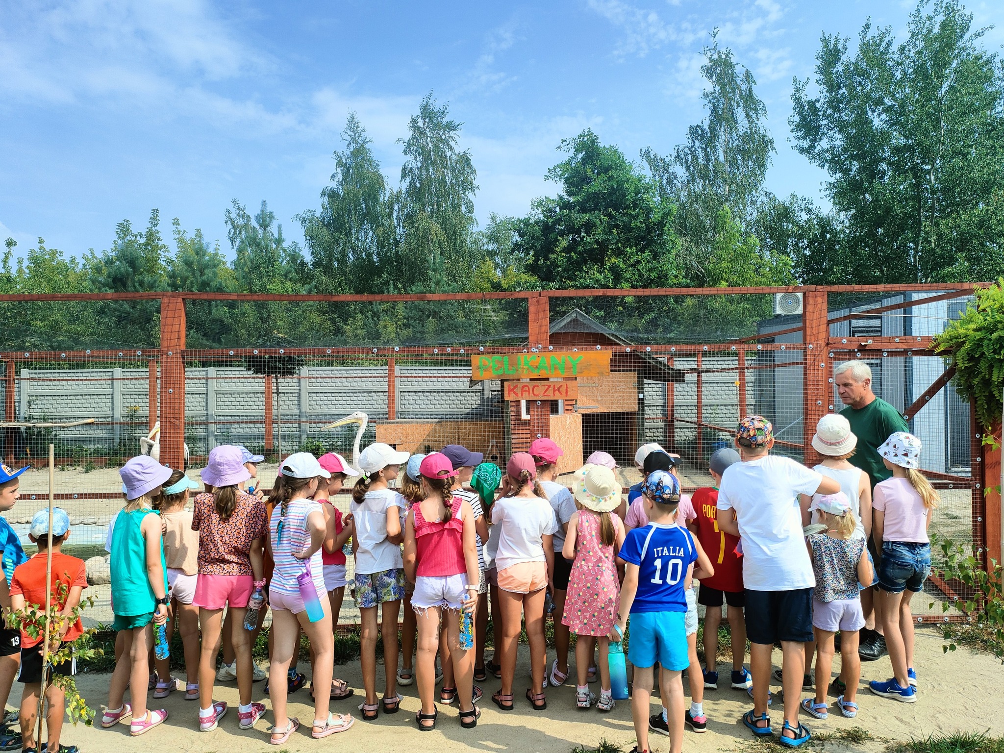 450553445 881451524010424 8712317226679567295 n