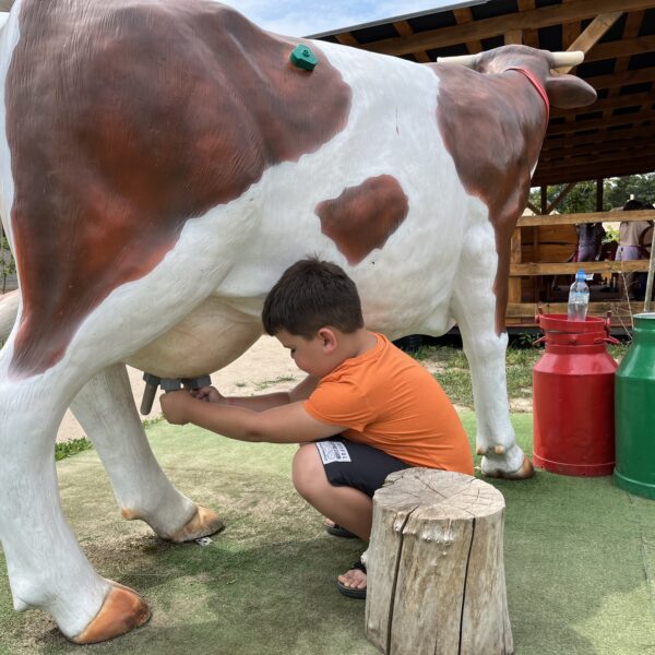 450811377 881451577343752 8350059275376166110 n