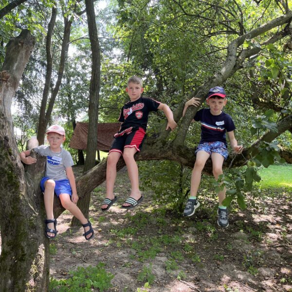 450855358 880272627461647 5370153118582646022 n