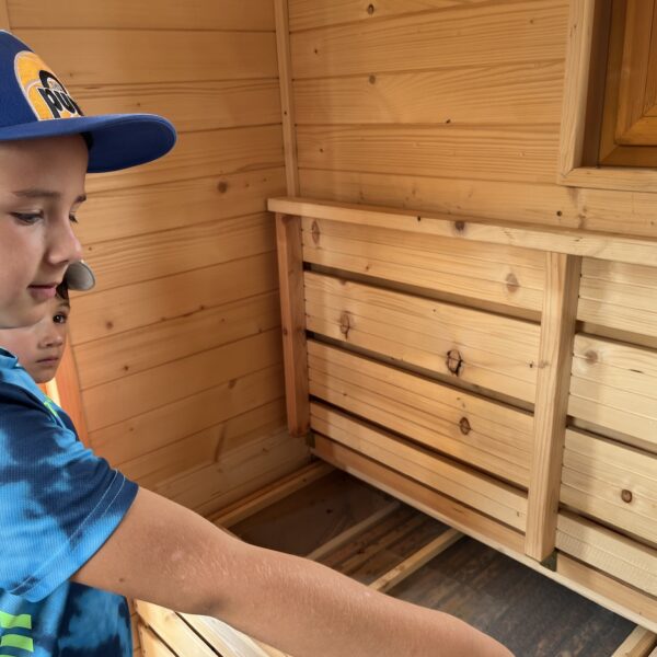 450896892 881452287343681 1971126300081242770 n