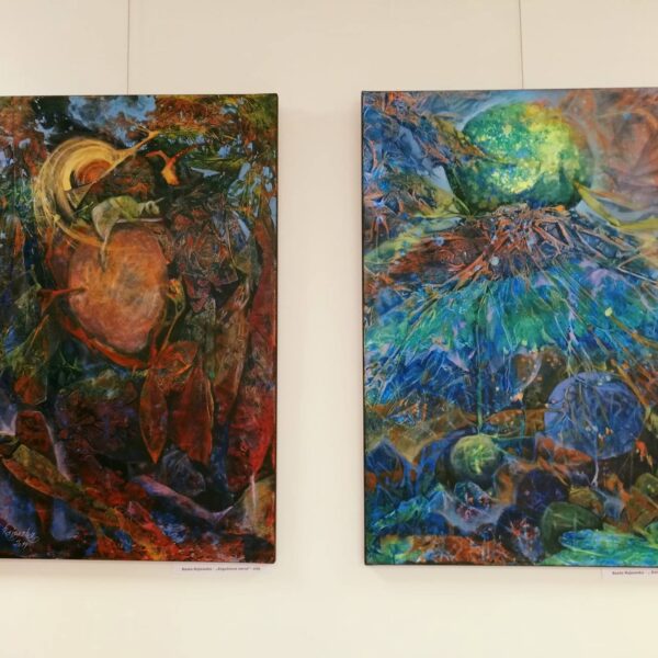 73069029 1641409979323006 7924967409973198848 o