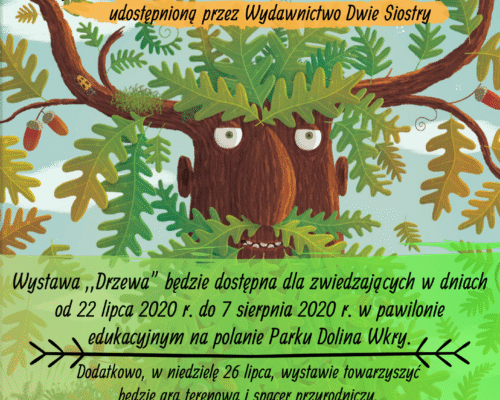 Format A3 (11)