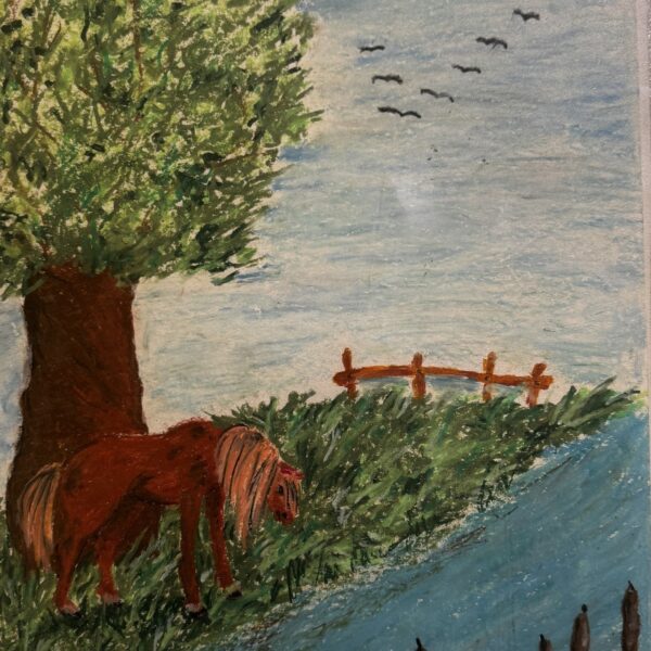 642403052 1343858441103061 2007306621529466436 n