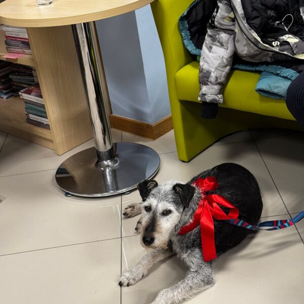 655156991 1361033579385547 7996825304620498061 n